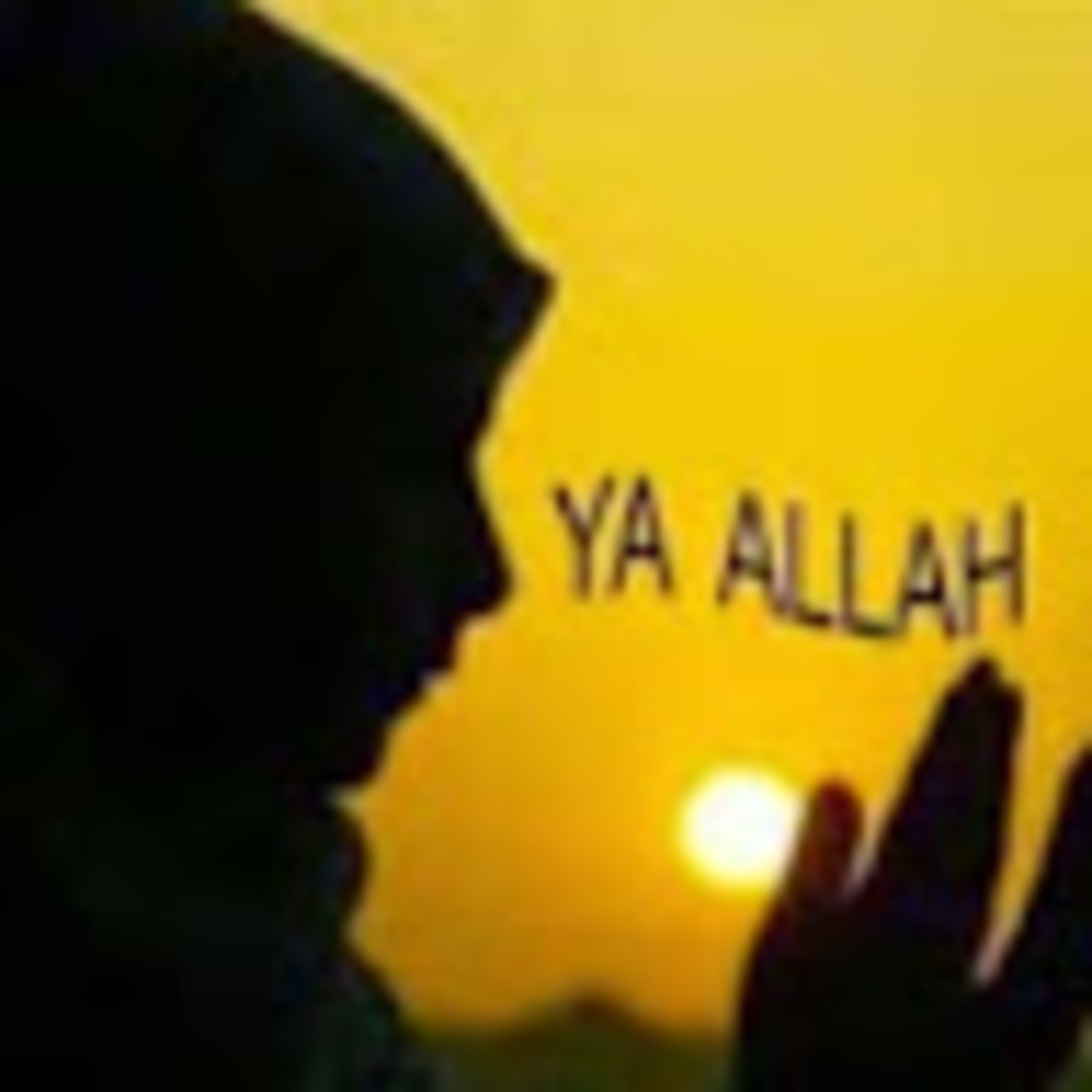 Meet your Posher, Hayat